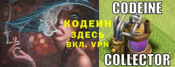apvp Магас