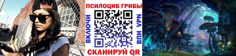 Псилоцибиновые грибы прущие грибы  где купить   Мыски 