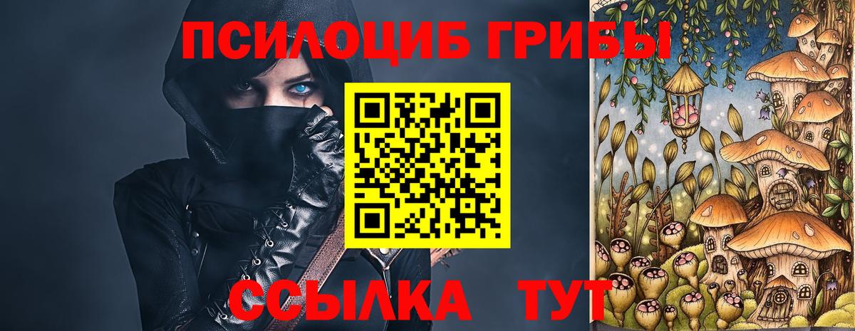 Галлюциногенные грибы Psilocybine cubensis Мыски